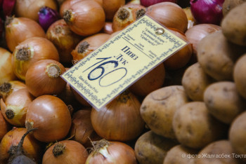 Фотография к новости: Производство лука в Казахстане в четыре раза превышает спрос – Минсельхоз