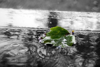 Фотография к новости: Дожди по всему Казахстану и не выше +20 прогнозируют синоптики