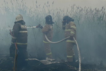 Фотография к новости: Площадь пожара под Астаной разрослась до 50 гектаров