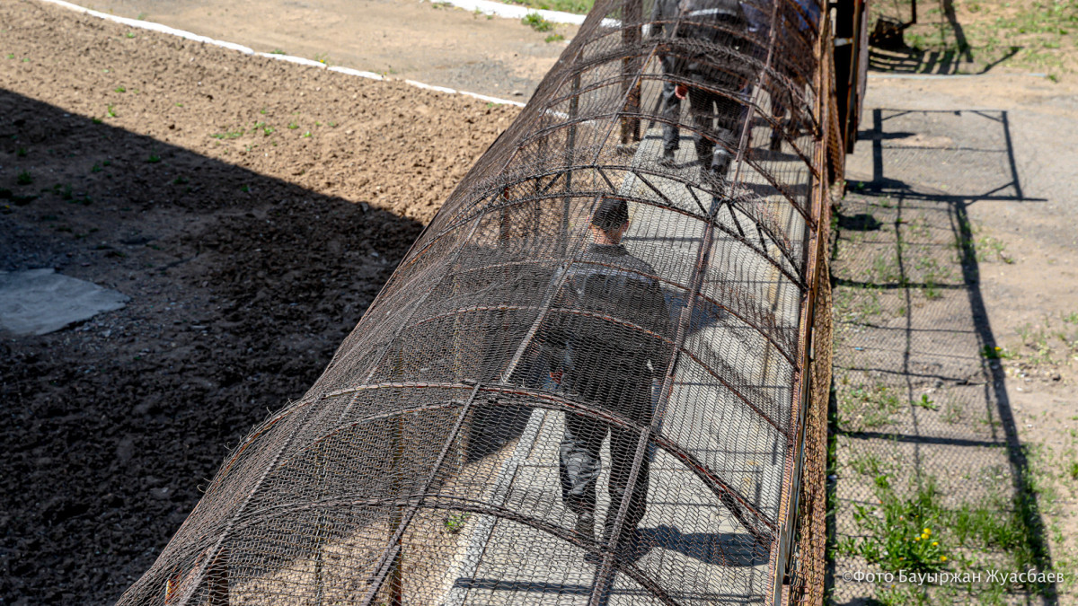 BaigeNews.kz/Бауыржан Жуасбаев