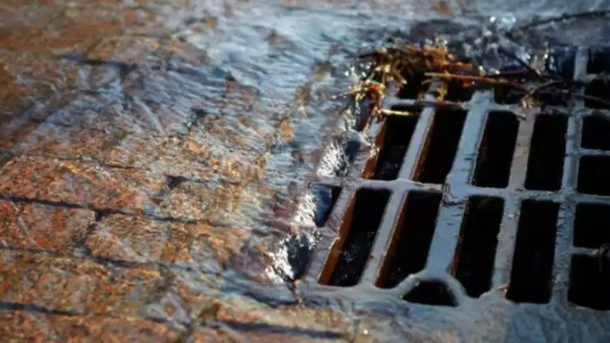 Кровь и биоматериалы сливали в канализацию скотобойни в Шымкенте