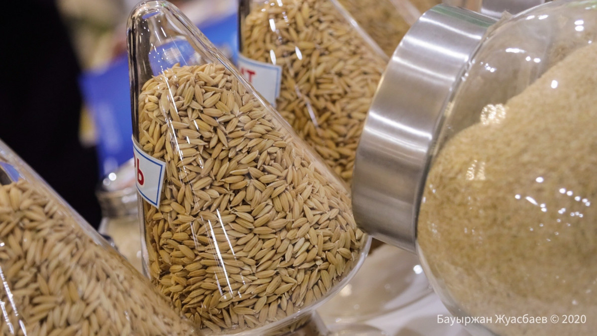 BaigeNews.kz/Бауыржан Жуасбаев