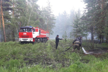 Фотография к новости: Дефицит кадров, слабое оснащение и маленькая зарплата: почему горят акмолинские леса
