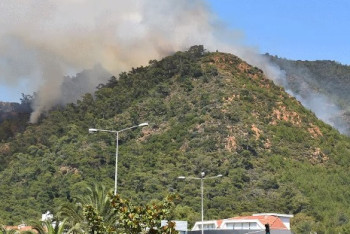 Фотография к новости: На турецком курорте вспыхнул лесной пожар