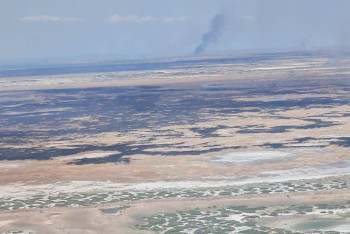 Фотография к новости: 150 гектаров камыша тушат в Алматинской области