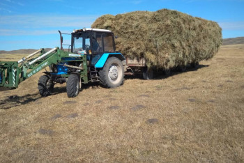 Фотография к новости: Новый приграничный район появится в области Абай