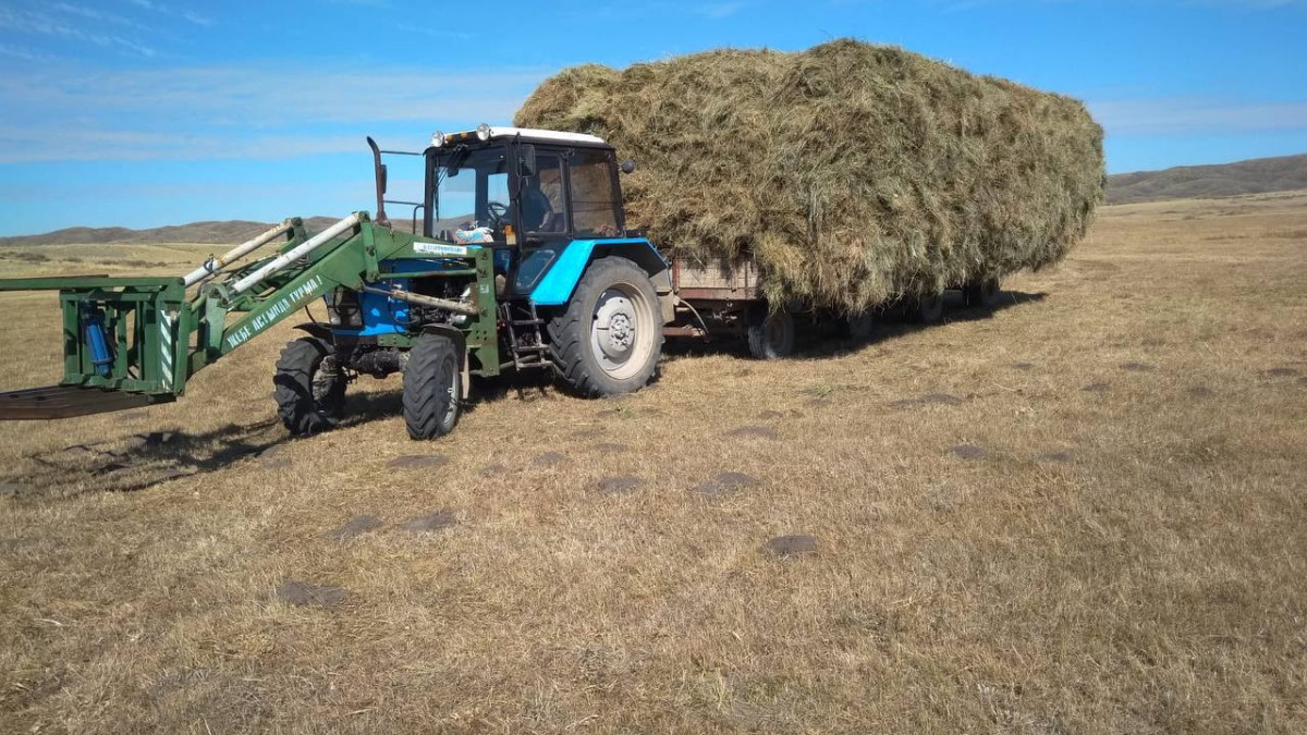 t.me/abai_oblysynyn_akimdigi