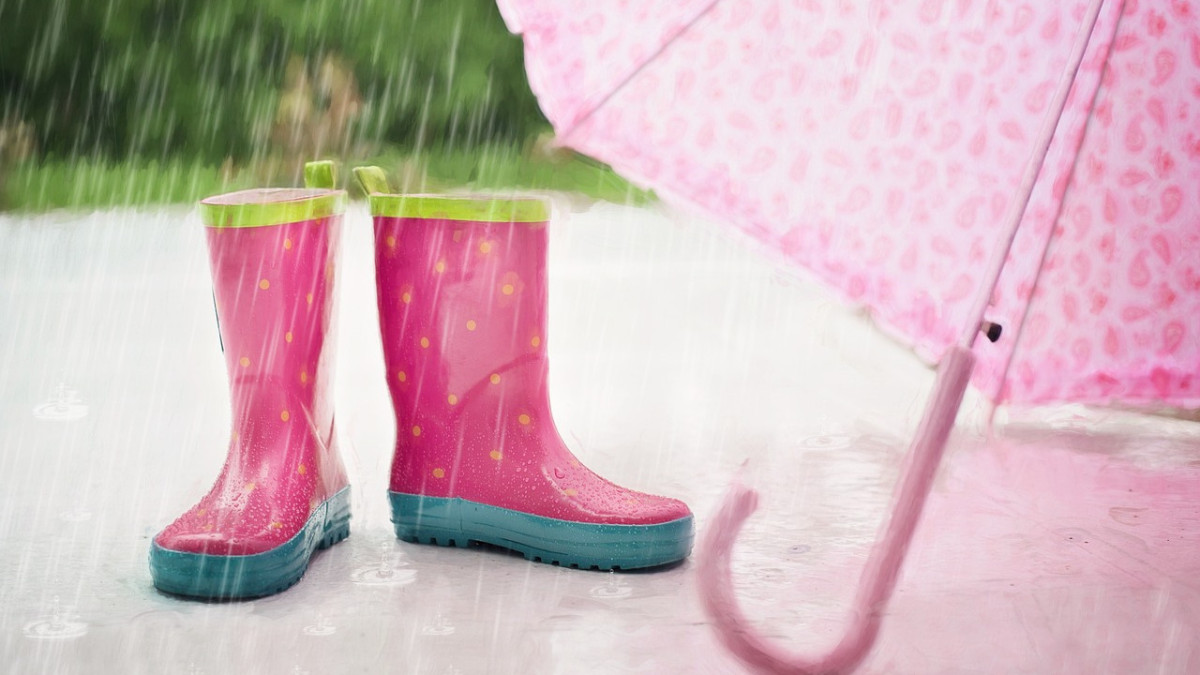 JillWellington/pixabay