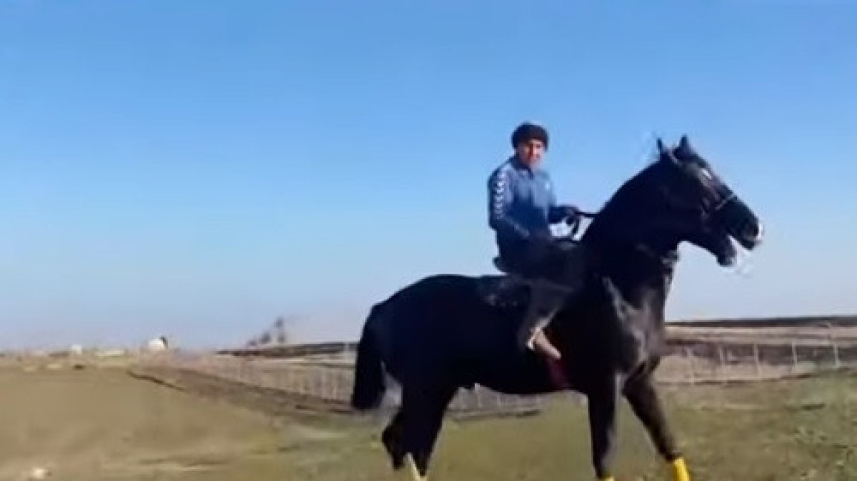 скриншот с видео