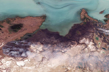 Фотография к новости: Площадь выгоревшей территории на Балхаше достигла 9 тысяч гектаров