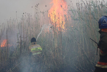 Пожар близ Астаны потушили