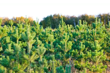 Фотография к новости: В Улытауской области ограничат посещение леса из-за пожарной опасности