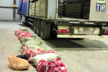 Фотография к новости: Наркотики на 6 млн долларов пытались ввезти в Казахстан