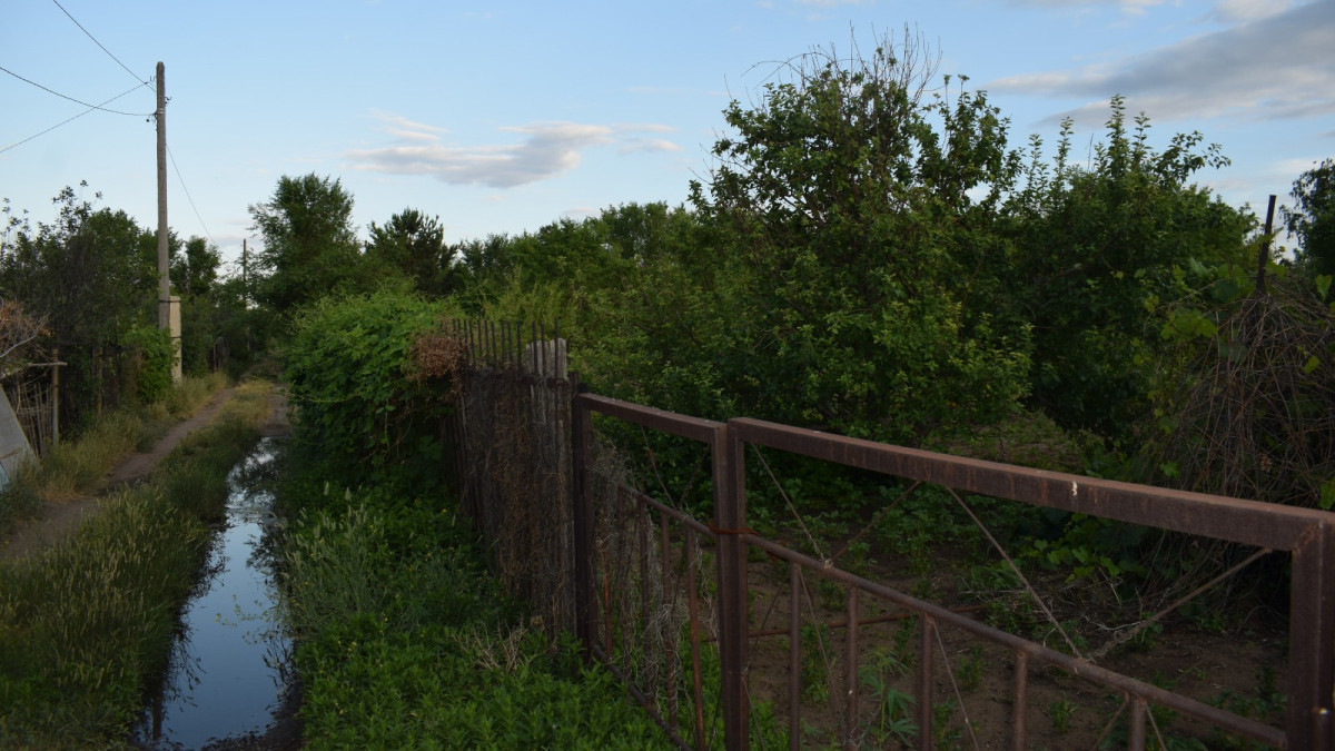 Катерина Приходько