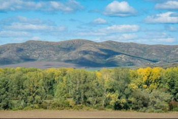 Фотография к новости: Участки лесного фонда на 678 млн тенге вернули государству в Акмолинской области