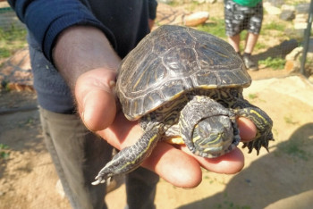 Фотография к новости: Станция юных натуралистов с семидесятилетней историей работает в Актобе