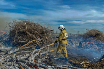 Фотография к новости: Пожар на территории лесничества локализовали в ВКО