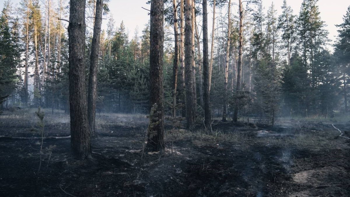 пресс-службы акимата Абайской области