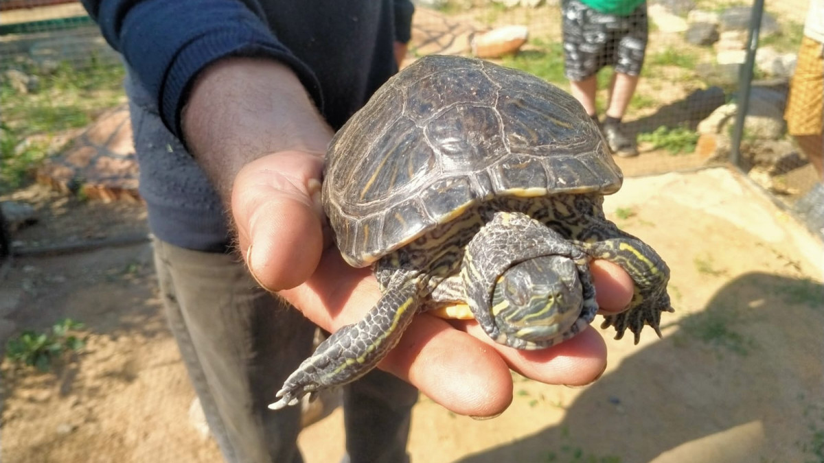 Эльмира Кубегенова