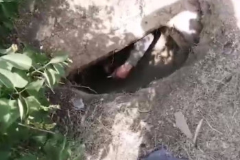 Фотография к новости: Тайный вход на неработающие шахты обнаружен в Акмолинской области