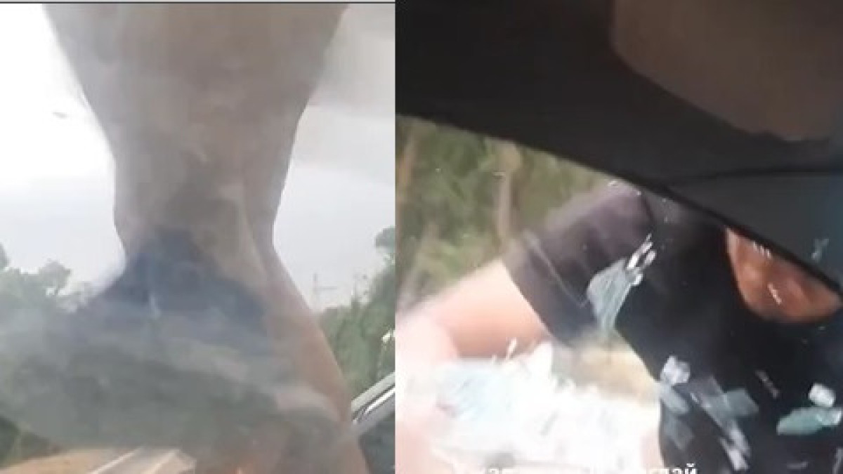 кадр из видео