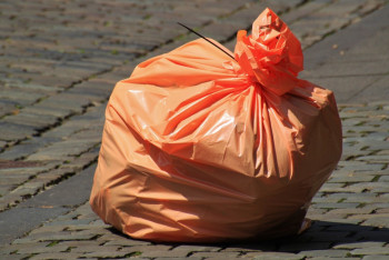 Фотография к новости: Запрет на продажу полиэтиленовых пакетов хотят ввести в Кыргызстане