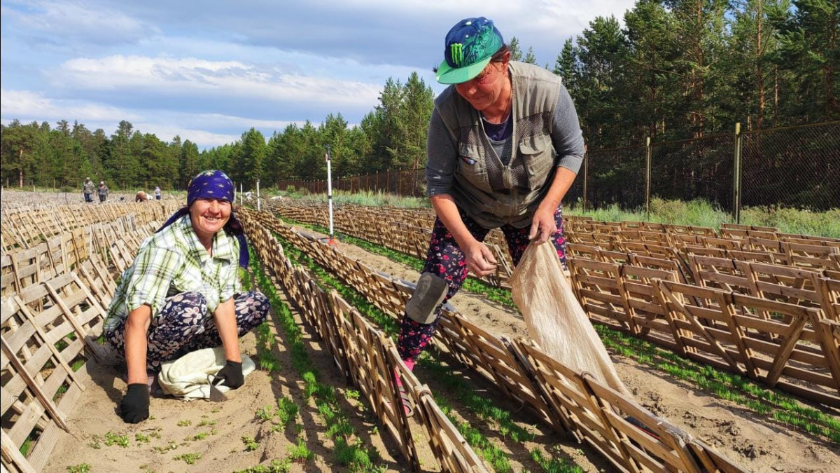 Альбина Халел