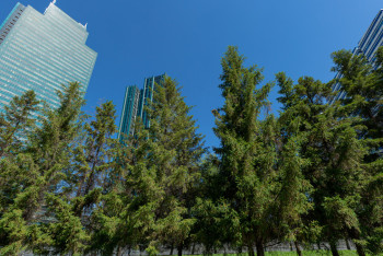 На пустыре возле ТРЦ "Керуен" в Астане построят сквер