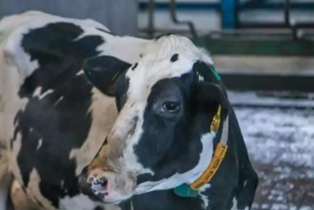 Фотография к новости: Бруцеллёз выявили у 19 жителей Кызылординской области