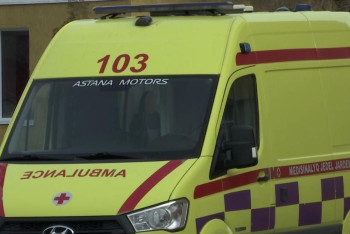 Фотография к новости: Ребёнок умер от укуса змеи в Алматинской области