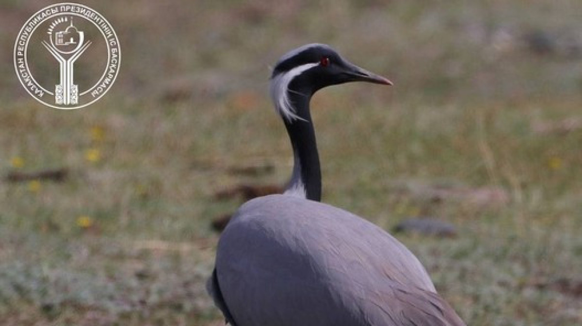 instagram.com/udp_open