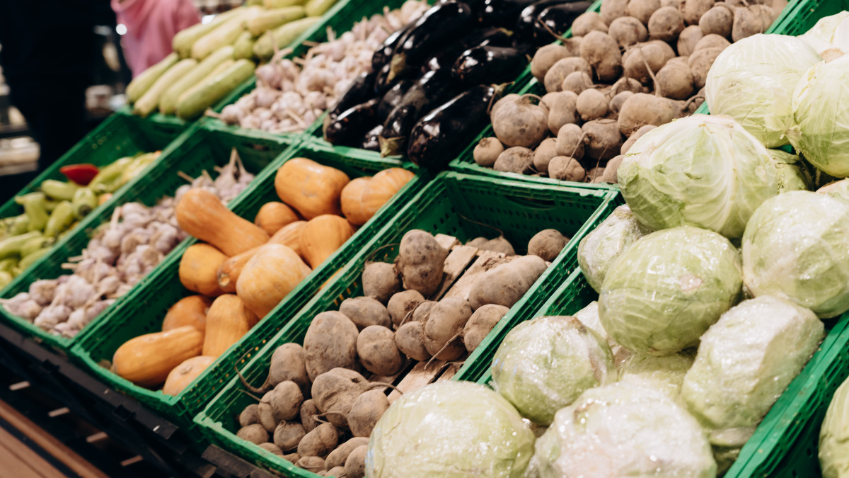 Baigenews.kz/Жалгасбек Токтамысов