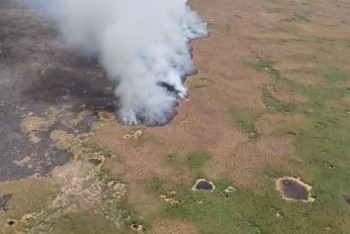 Фотография к новости: Горящий камыш в Алматинской области удалось потушить спустя неделю