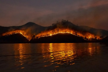 Фотография к новости: В ВКО горит 200 гектаров камыша