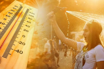 Фотография к новости: Земля раньше срока подошла к очередному температурному рекорду