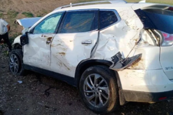 Фотография к новости: Депутат от партии Amanat сбила на авто двоих детей и стадо коров в Карагандинской области