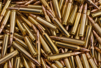 Фотография к новости: Более 1000 патронов сдал в полицию житель Павлодарской области