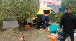 Троих рабочих ударило током во время обрезки деревьев в Павлодаре