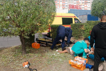 Фотография к новости: Троих рабочих ударило током во время обрезки деревьев в Павлодаре