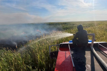 Фотография к новости: Пожар в Абайской области ликвидировали