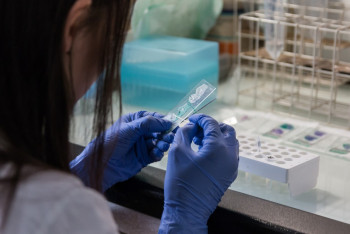 Фотография к новости: Массовое отравление в Кентау: стафилококк и сальмонеллёз обнаружили у работников кафе