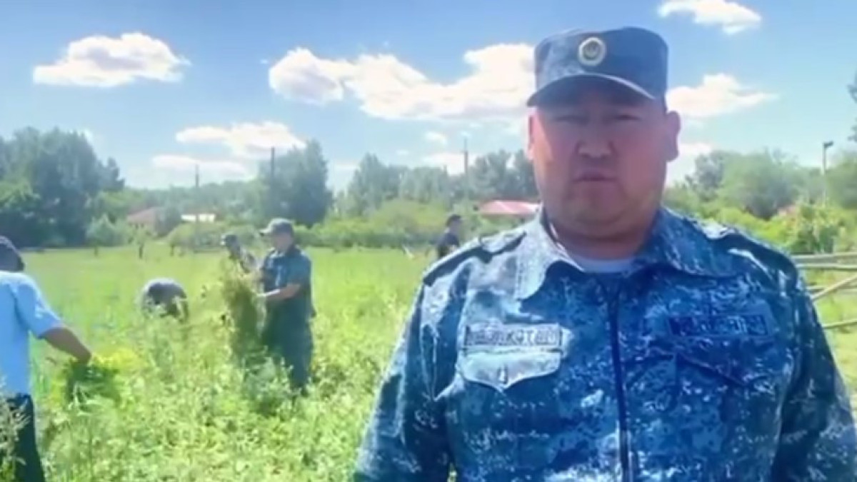 ДП области Абай