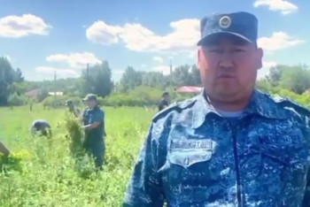 Фотография к новости: Житель области Абай превратил свой огород в наркоплантацию