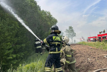 Фотография к новости: Пожарные локализовали огонь на территории резервата "Ертис орманы"