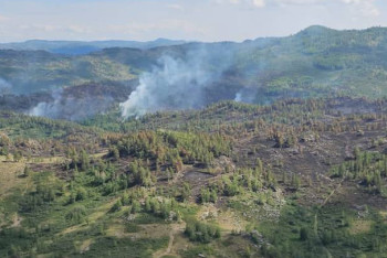Фотография к новости: Пожар в горной местности ВКО ликвидировали