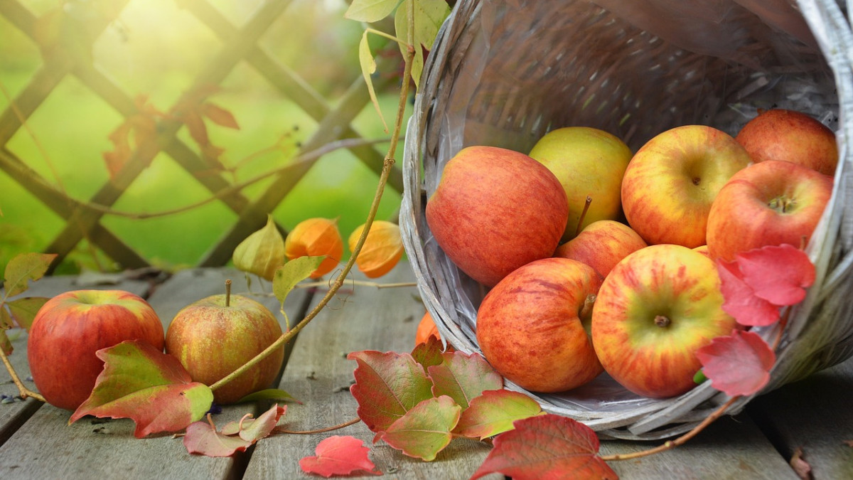 castleguard/pixabay.com