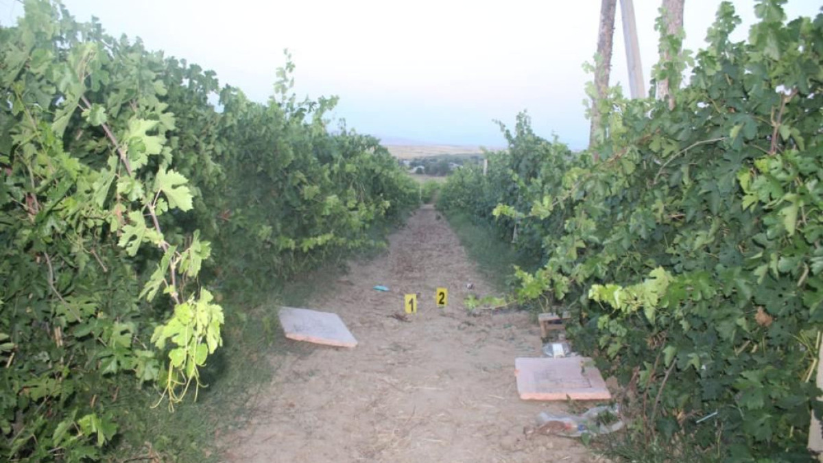 Во время отстрела птиц случайно застрелили подростка в Туркестанской области