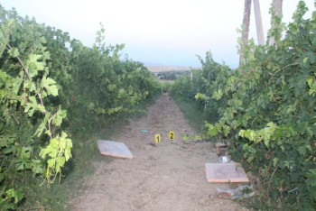 Фотография к новости: Во время отстрела птиц случайно застрелили подростка в Туркестанской области