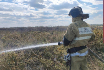 Фотография к новости: 4,5 гектара сухостоя выгорело в области Абай