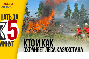 Фотография к новости: Узнать за 5 минут: кто и как охраняет леса Казахстана